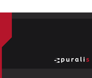 Webseite der puralis GmbH